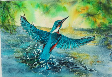 CD, Kingfisher, Brusho.jpg